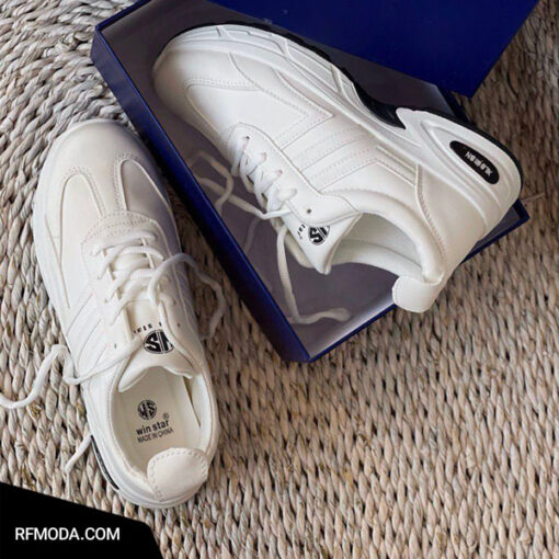 کتونی ناردین