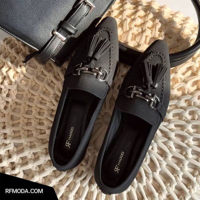 کالج کاملیا