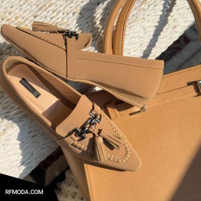 کالج کاملیا