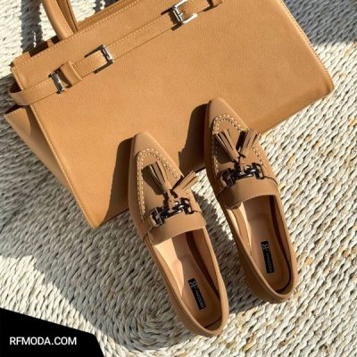 کالج کاملیا