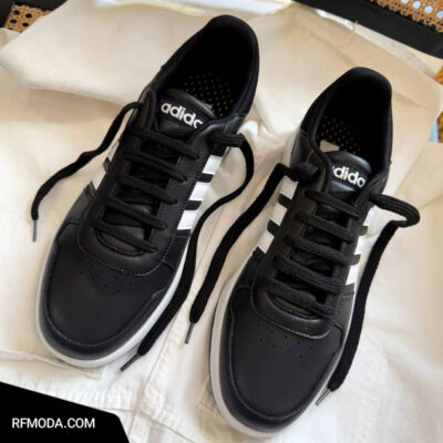 کتونی تیرداد